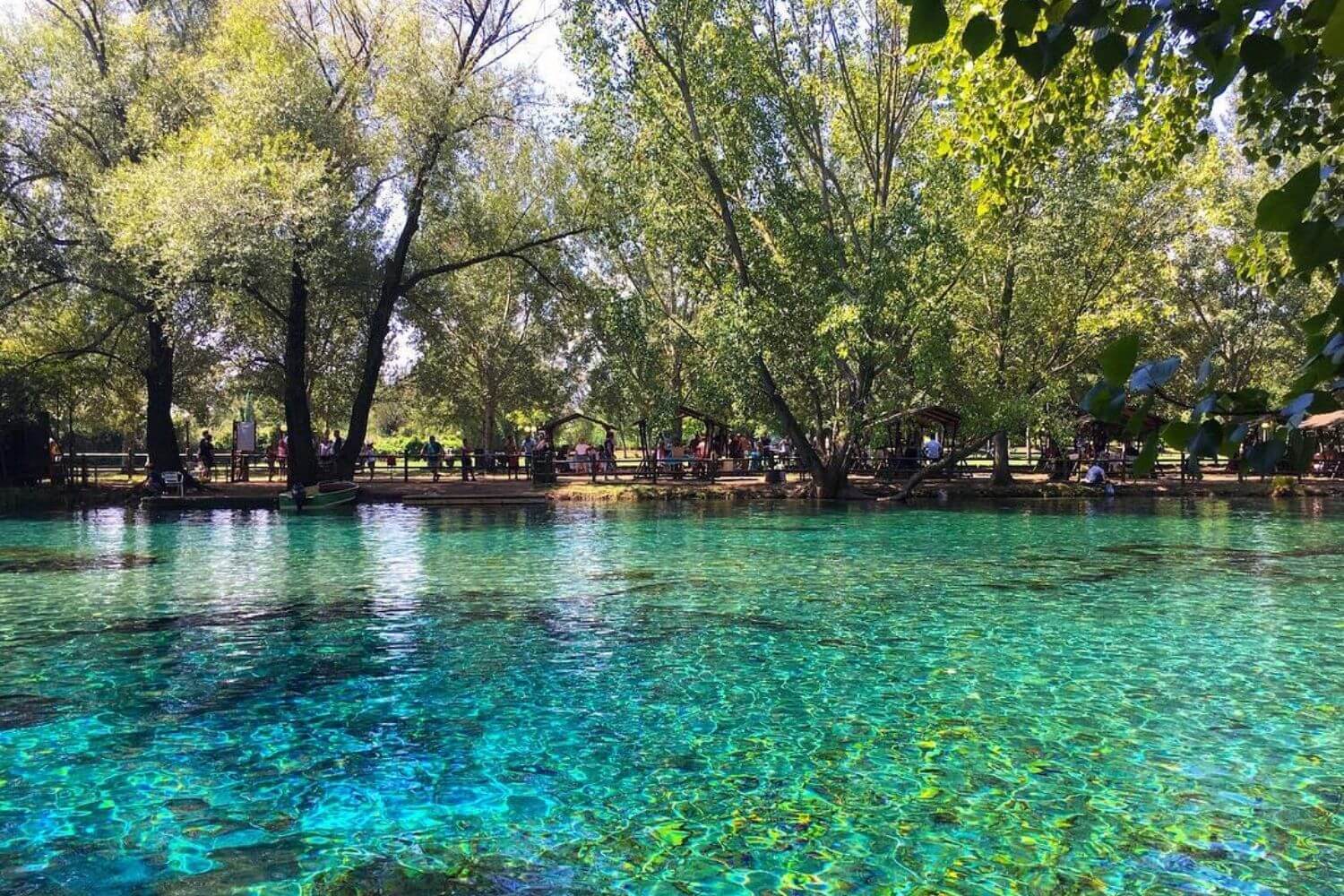 Parco del Grassano, fiume dalle acque sorgive